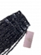 Clip-in Human Hair Standard Loc Extensions