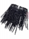 Clip-in Human Hair Standard Loc Extensions