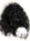 Seamless-Crochet Human Hair Water Kinky Curly(3b3c HairTexture)