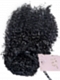 Brazilian Virgin Human Hair Kinky Curly Drawstring Ponytail (3b/3c Hair Texture)