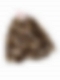 Clearance-Balayage Water Kinky Coily Bundles(4a4b hair texture)